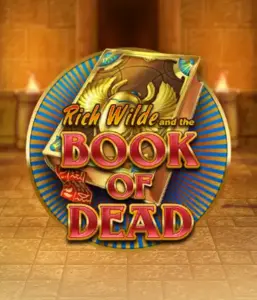 Dive into the thrilling world of Book of Dead Slot by Play'n GO, showcasing vivid graphics of Rich Wilde’s adventurous journey through ancient Egyptian tombs and artifacts. Uncover lost riches with captivating mechanics like free spins, expanding icons, and a gamble option. Ideal for adventure enthusiasts with a desire for thrilling discoveries.